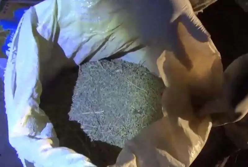 125 кг наркотиков и огнестрельное оружие изъяли полицейские у жителя Шу