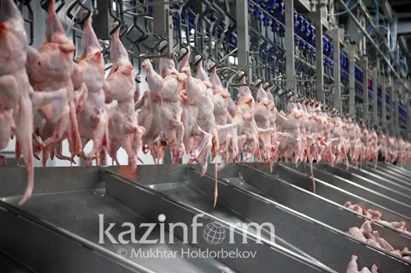 Куры в РК подорожали на 28% за год, окорочка – на 27%