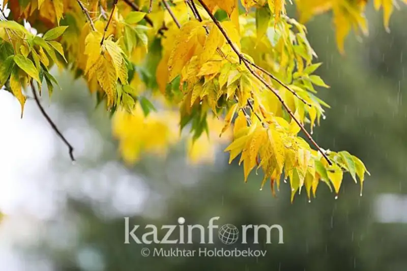 До минус трех градусов по ночам прогнозируют в Таразе на выходные