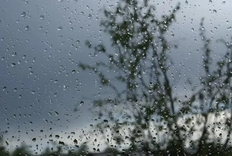 Mańǵystaý oblysynda nóser jańbyr, burshaq jaýýy múmkin