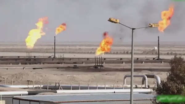 الەمدە مۇناي باعاسى كۇرت ارزاندادى
