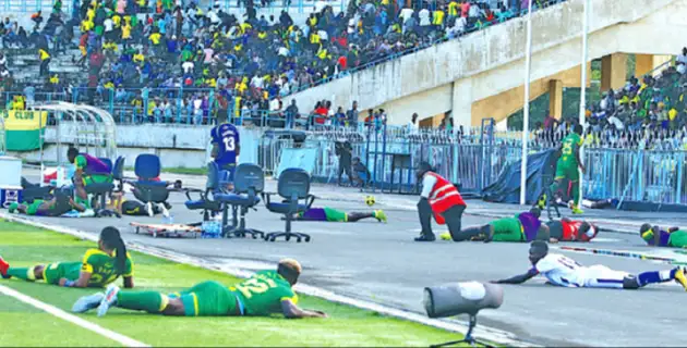 فۋتبولشىلاردى ماتچ كەزىندە ارالار الاڭنان تىم-تىراقاي قاشىردى