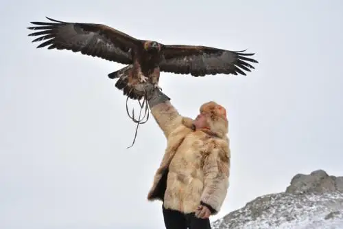 قىران سامعاپ، كۇي توگىلدى بوزانبايدا