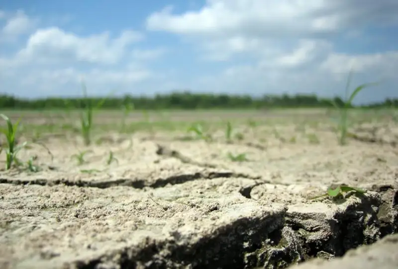 Засуху в июле прогнозируют в районах Кызылординской и Мангистауской областей