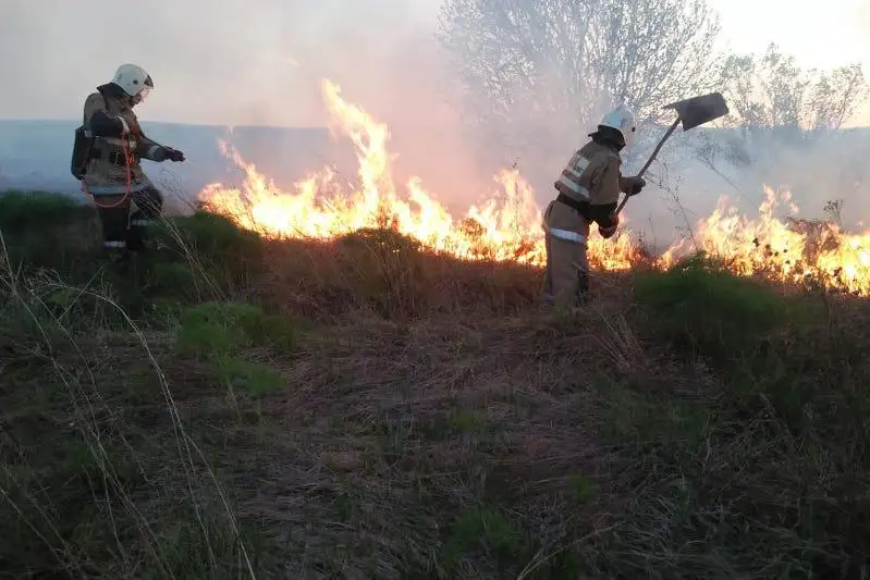 Пожарные ВКО до 20 раз в сутки выезжают на тушение загоревшейся травы