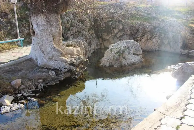 Родники – целительные дары жамбылской земли