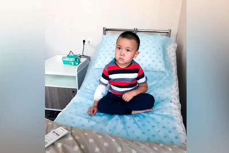ەلوردادا دەنەسىن سەزبەيتىن بالا ءومىر سۇرۋدە