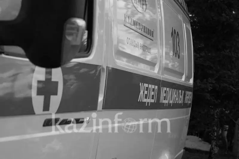 Шестилетние братья скончались после выписки из больницы в Рудном