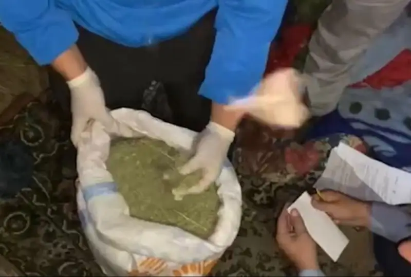 Свыше 17 кг марихуаны готовили на продажу двое жамбылцев