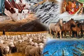 قازاقتار ەگىنشىلىكپەن ەجەلدەن اينالىسقان