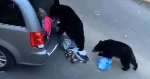 ايۋلار اۆتوكولىكتى اقتارىپ، توناپ كەتكەن