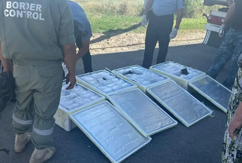 Пограничники РК пресекли контрабанду 100 кг черной икры в РФ