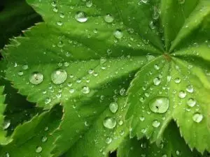 تاڭعى شىقتىڭ تاعدىرى تولعاندىرعان اقىندار