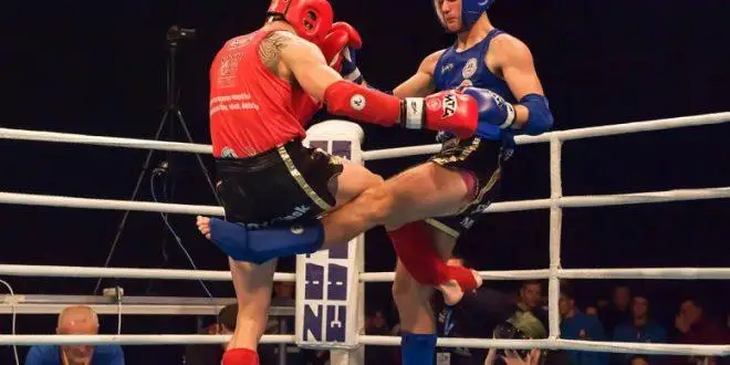 قازاقستاندىق تايبوكسشىلار ازيا چەمپيوناتىندا 14 التىن مەدال يەلەندى