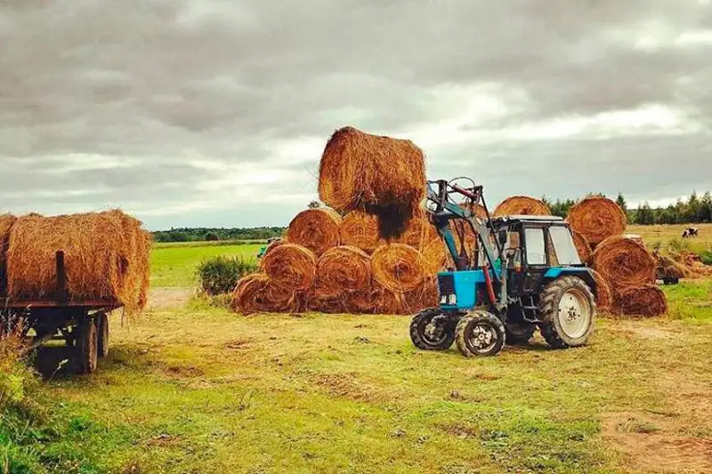 Несколько регионов могут выделить земли Мангистауской области для заготовки сена