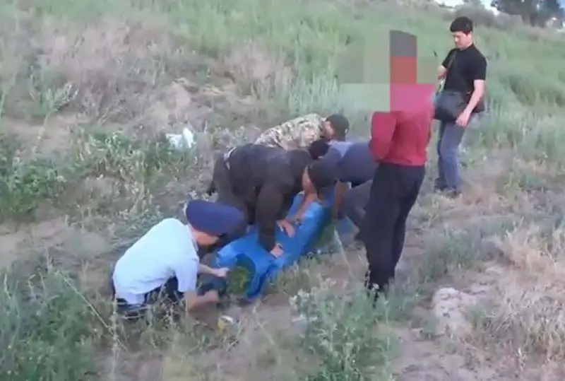 Около 200 кг наркотиков изъяли у жителя Шу