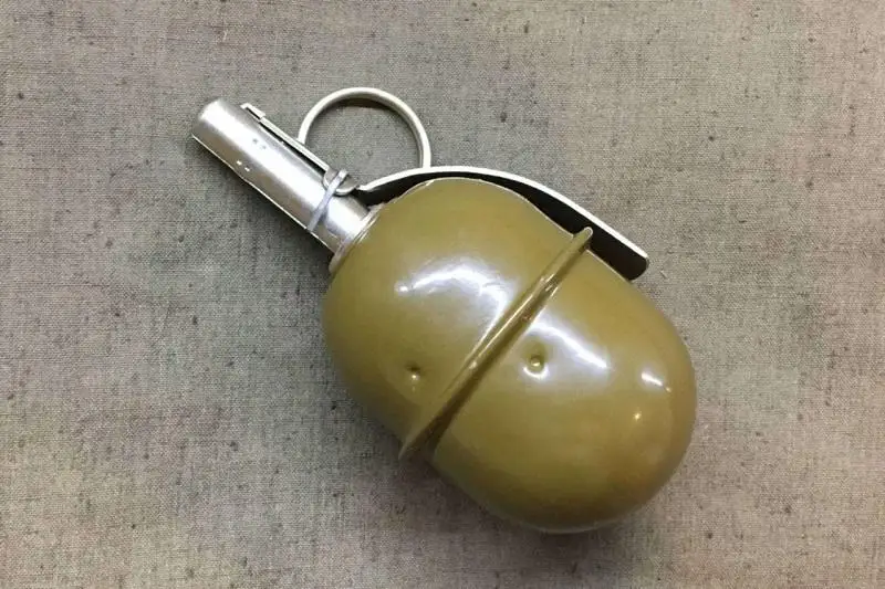 پاۆلوداردا وزەن جاعاسىنان گراناتا تابىلدى