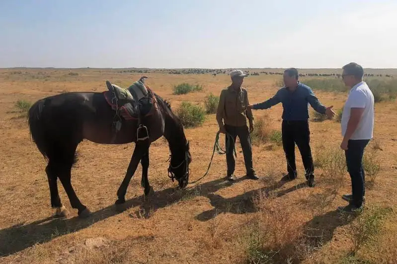 ءار قويشىعا ءۇي بەرىلگەن، Wi-Fi ورناتىلعان: اۋليەاتاداعى كاسىپكەر جۇمىس ورنىن كوبەيتۋدى جوسپارلاپ وتىر