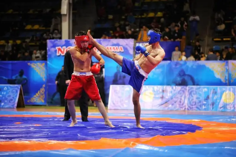 Открытый чемпионат Азии по NOMAD MMA проходит в Караганде