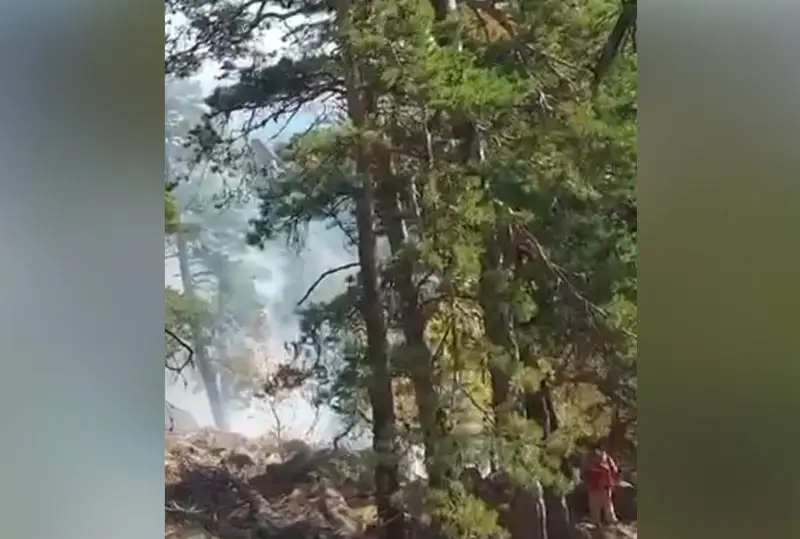 Kókshetaý taýyndaǵy órt aýyzdyqtaldy