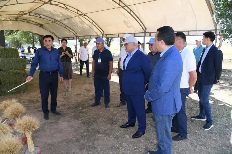 Уборочная кампания завершается в Туркестанской области