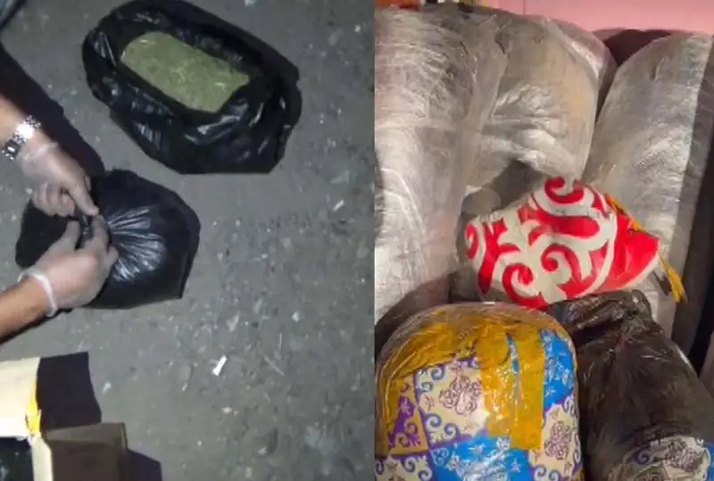 Изъято 24 кг гашиша и 200 кг марихуаны в ходе спецоперации в Караганде