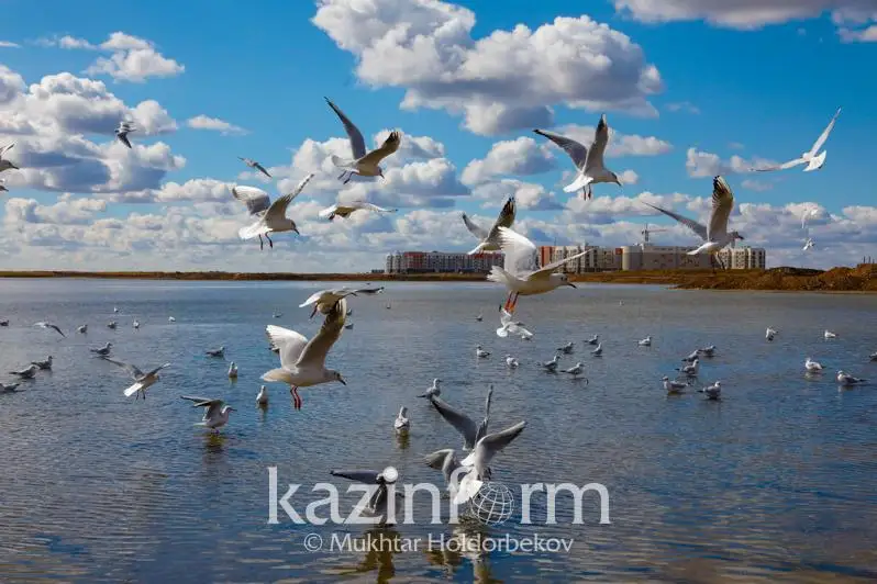 Дело о Малом Талдыколе рассмотрят в столице 9 февраля