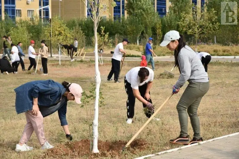 Создавать уют в родном Актобе - главная задача каждого жителя: считают горожане