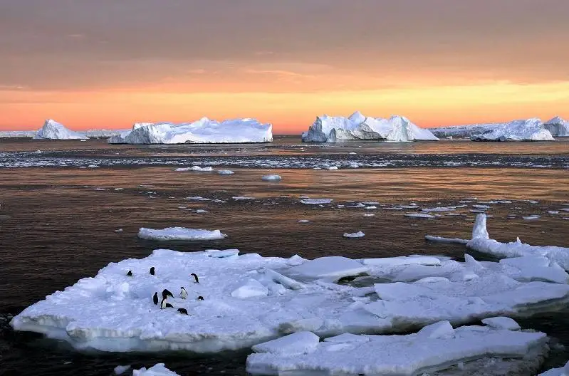 پلانەتانى جاھاندىق جىلىنۋدان قۇتقارا الامىز با - الەمدىك باسپا سوزگە شولۋ