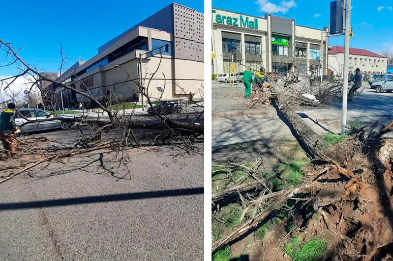 Разрушения после урагана восстанавливают в Таразе