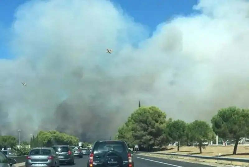 Леса Франции и Португалии горят из-за новой волны жары