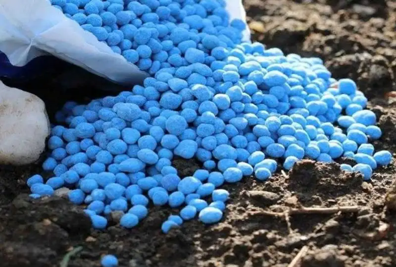 Выпуск фосфорных удобрений увеличился в  Казахстане