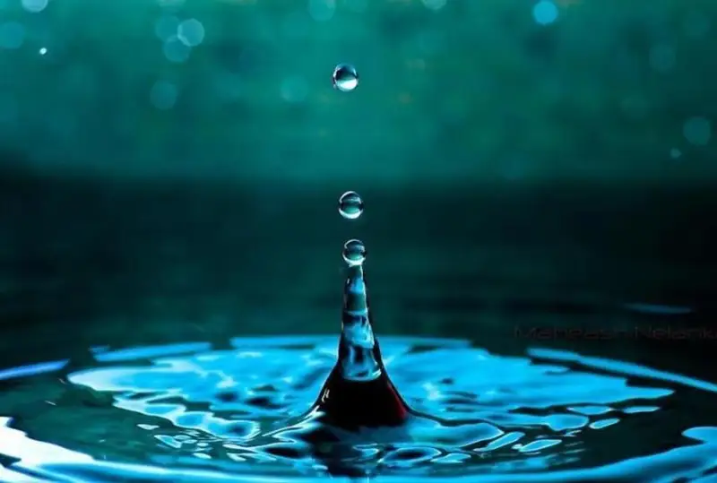 Как в Жамбылской области намерены снизить водную зависимость от Кыргызстана