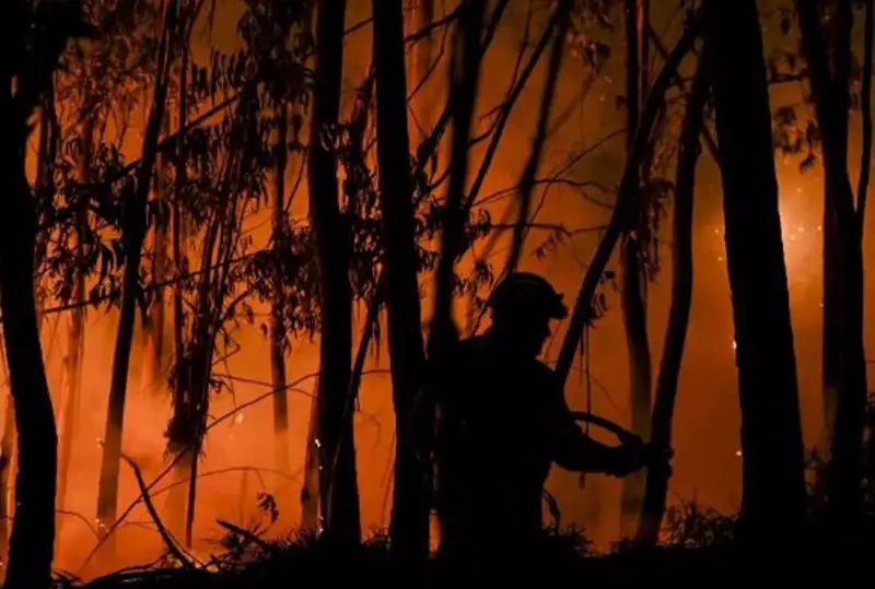 Лесные пожары в Португалии: минимум 32 человека пострадали