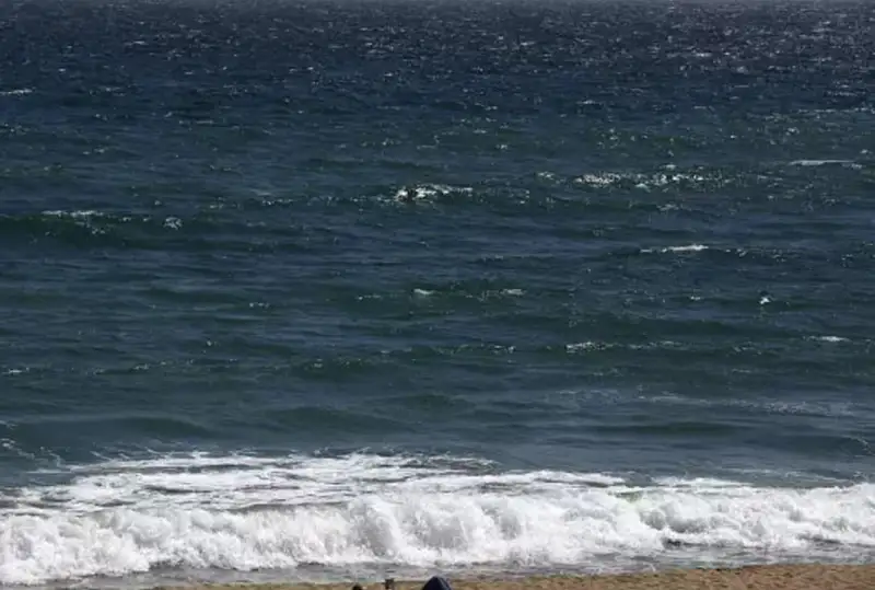 Рекордно высокая температура воды зафиксирована в Средиземном море