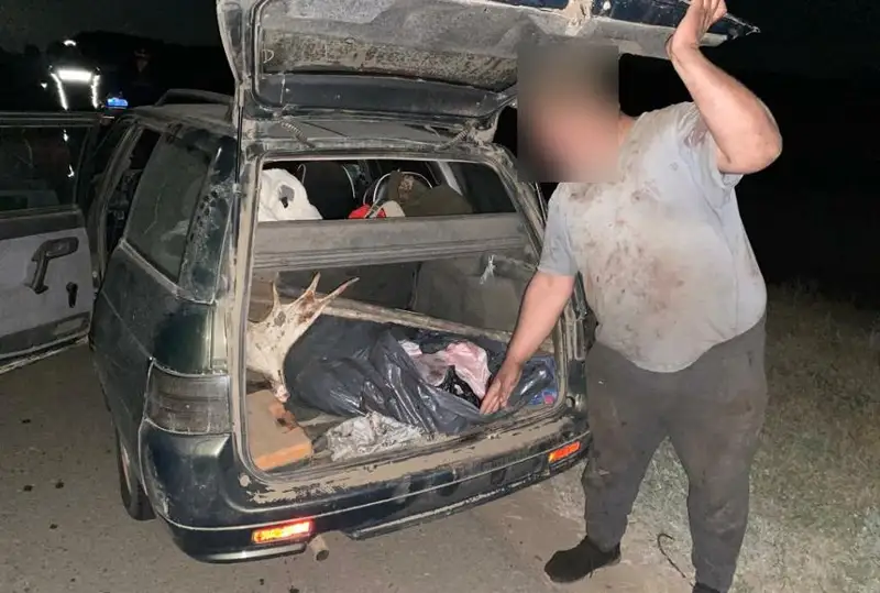 Факт незаконной охоты на лося выявили в Павлодарской области