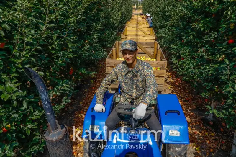 Площадь орошаемых сельхозземель растет в Алматинской области