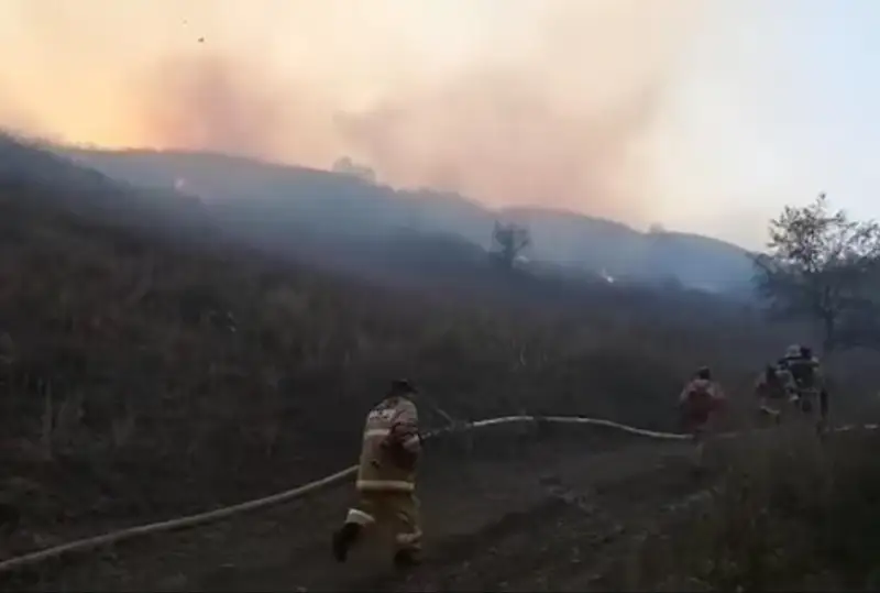 ШҚО-да тағы бір дала өртімен күрес үшінші күнге созылды