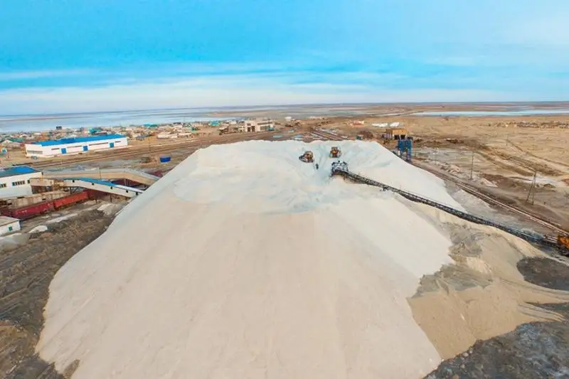 قازاقستان اس تۇزىن كوپ تۇتىناتىن ەلدەر اراسىندا كوش باستاپ تۇر