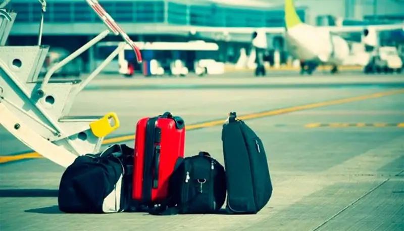 بيىل قازاقستاننان قانشا ادام كوشىپ كەتكەنى بەلگىلى بولدى