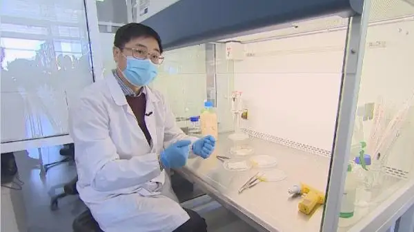 وتاندىق عالىمدار كۇيىكتى ەمدەۋدىڭ جاڭا ءتاسىلىن ويلاپ تاپتى