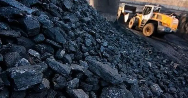 مينيستر ەلىمىزدەگى كومىر تاپشىلىعىنىڭ سەبەبىن ايتىپ بەردى