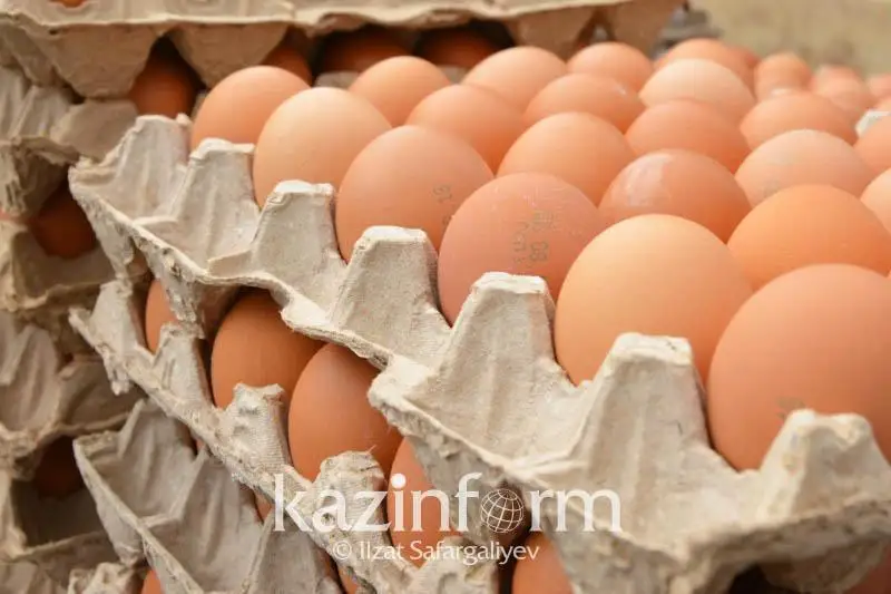 الماتىدا ءۇش ايعا ارنالعان جۇمىرتقانىڭ شەكتى باعاسى بەلگىلەنەدى