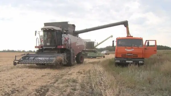 تاراپتاردىڭ اۋىز جالاسۋى تىيىلماي تۇر