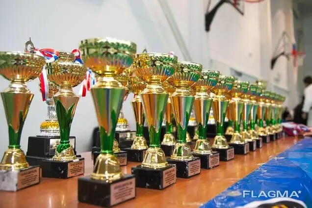 Sportty damytýǵa úles qosqan azamattar birneshe atalym boıynsha marapattalady