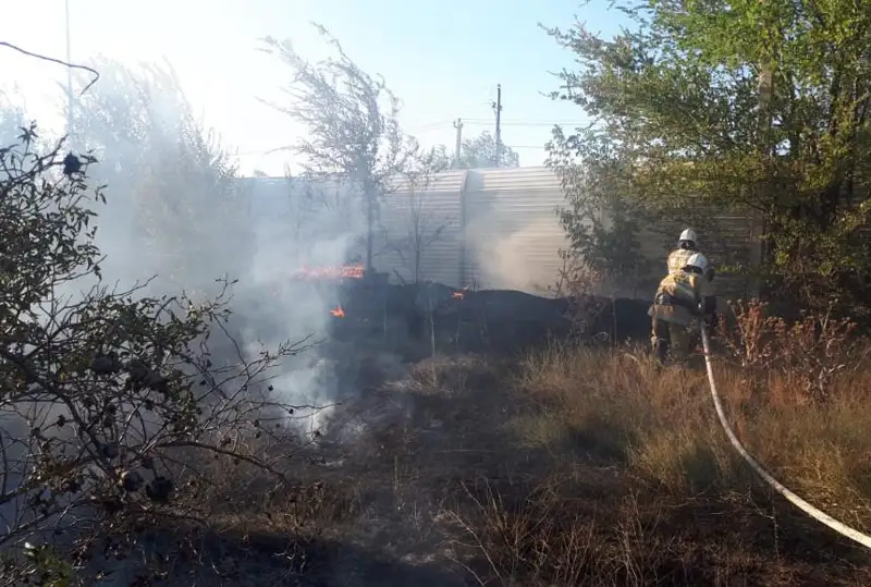 Пожар на территории дендропарка в Шымкенте: виновные привлечены к ответственности