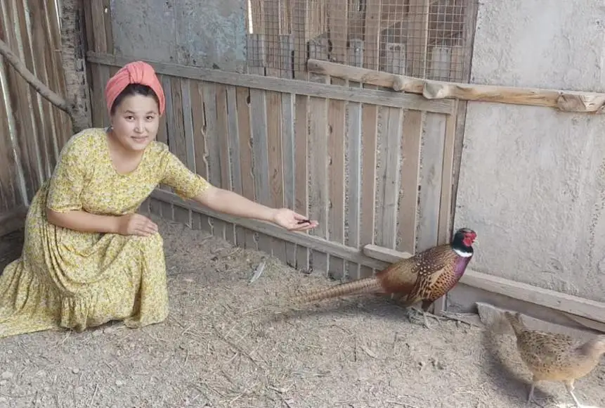 Онлайн порно трахается Сексуалдық көліктегі қыз видео