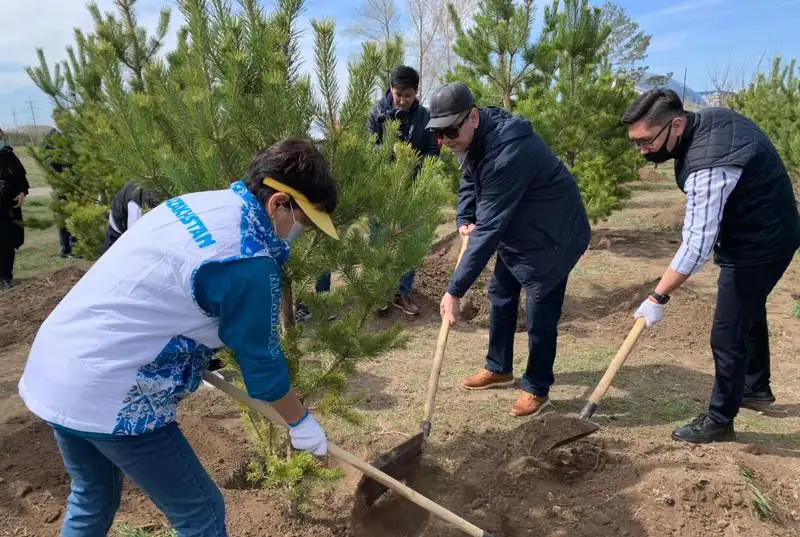 Аллея имени Салтанат Рахимбековой пополнилась новыми деревьями