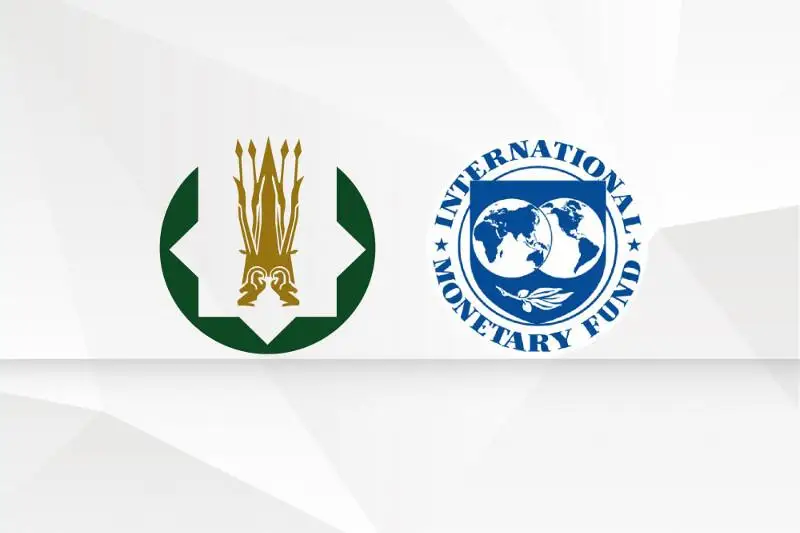 Нацбанк РК принял участие в заседании Координационного комитета Регионального центра МВФ