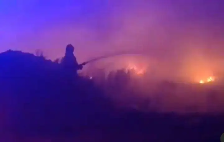 Близ Степногорска тушат возгорание сухой травы